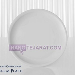 restaurant porcelain- flat plate restaurant porcelain- flat plate